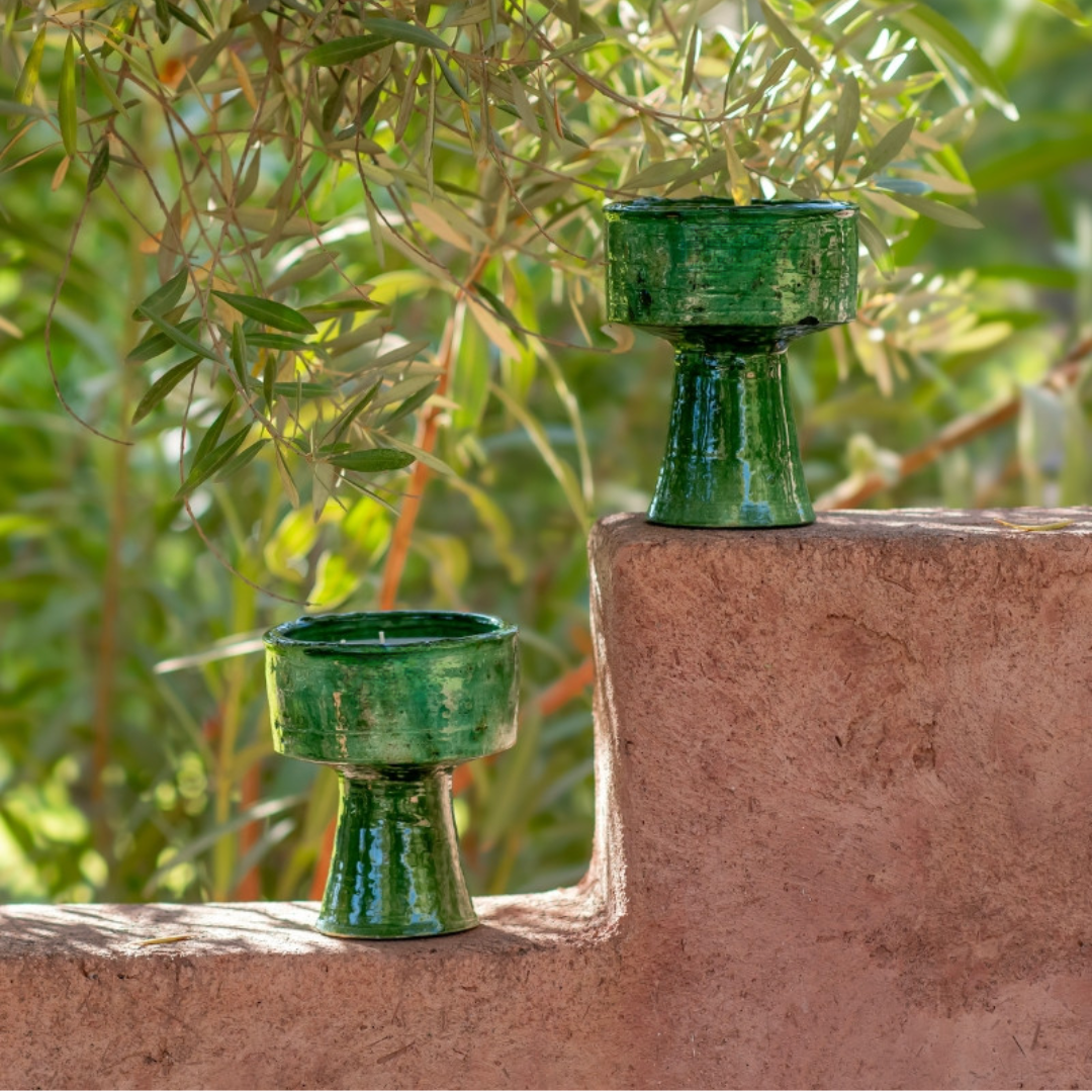 شمعة الصحراء